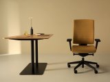 Ergonomické manažerské křeslo Xenon